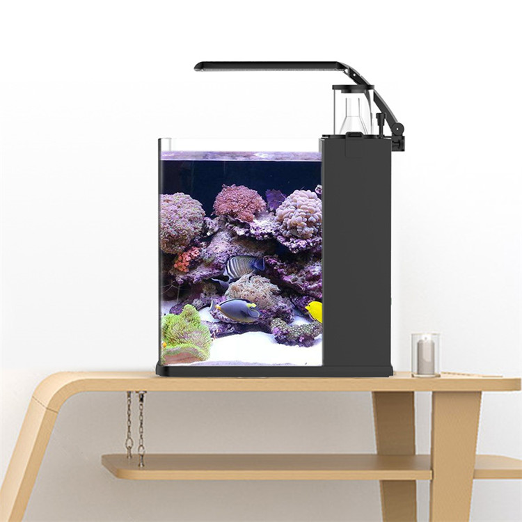 Marine Aquarium In Clearwater - Skynuo Ultra Clear Glass Mini Salt
