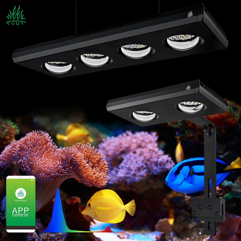 Marine Aquarium App - Lampu LED Laut ZXY Hot Sale