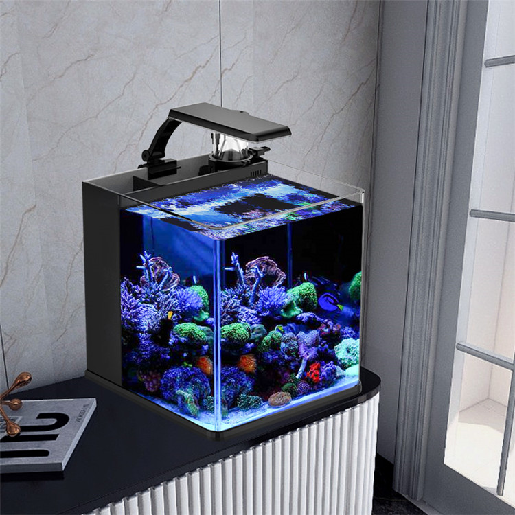 Marine Aquarium In Clearwater - Kotak Aksesori Filtrasi Daya 5W untuk