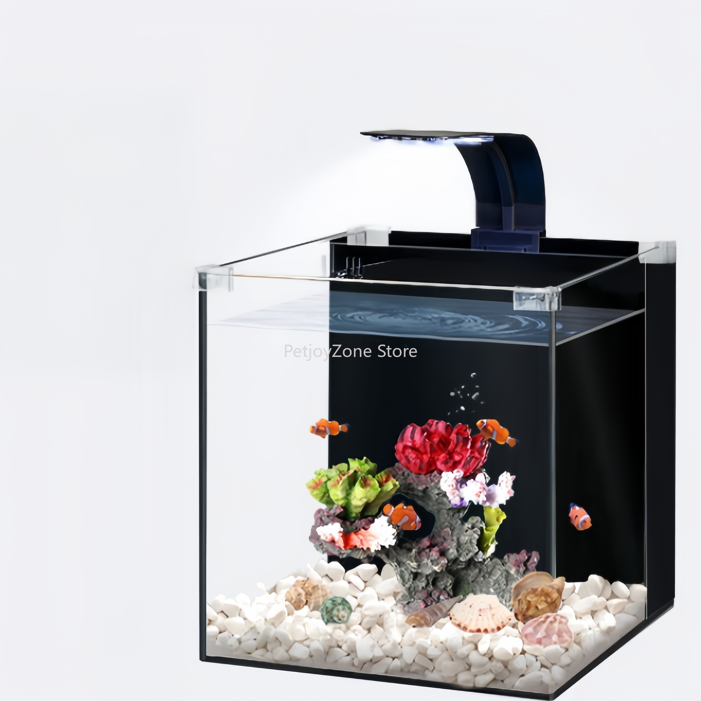 Marine Aquarium In Clearwater - Akuarium Mini Air Asin Mewah Kaca