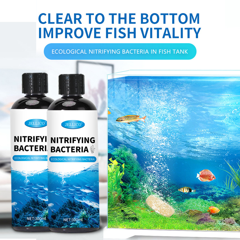 Marine Aquarium In Clearwater - 300ml Pemurni Air Akuarium Bakteri Nitrifikasi