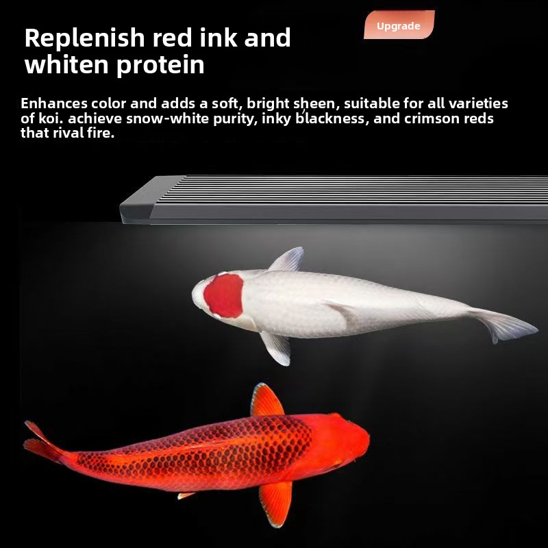Marine Aquarium In Clearwater - Lampu Akuarium LED untuk Tangki Ikan