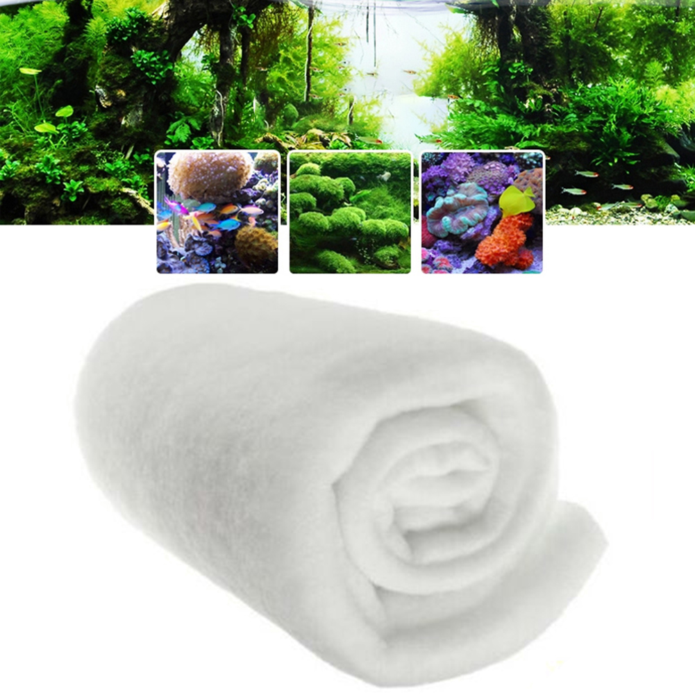 1 Buah Tangki Ikan 120Cm X 30C - Marine Aquarium Bacteria ulasan dan harga