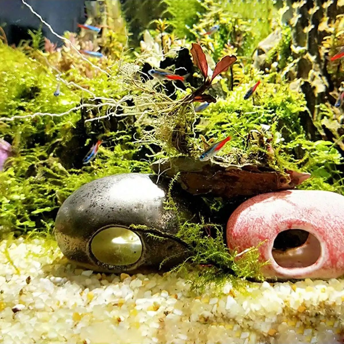 1 buah-250g batu kerikil krist - Aquarium Marine Sand ulasan dan harga