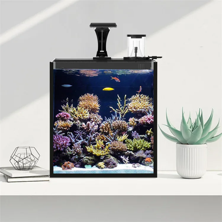Akuarium Ikan Laut Mini Kaca B - Marine Aquarium In Clearwater ulasan dan harga