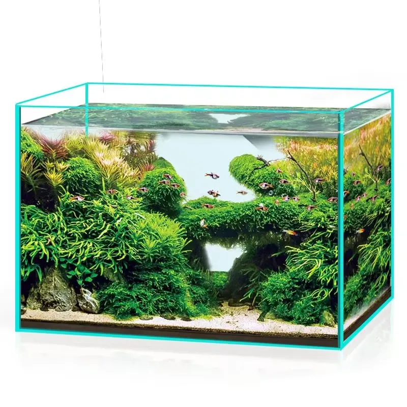 Akuarium Kaca Ultra Jernih unt - Marine Aquarium In Clearwater ulasan dan harga