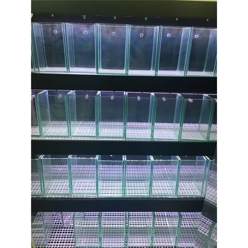 Akuarium Kaca Ultra Jernih unt - Marine Aquarium In Clearwater ulasan dan harga