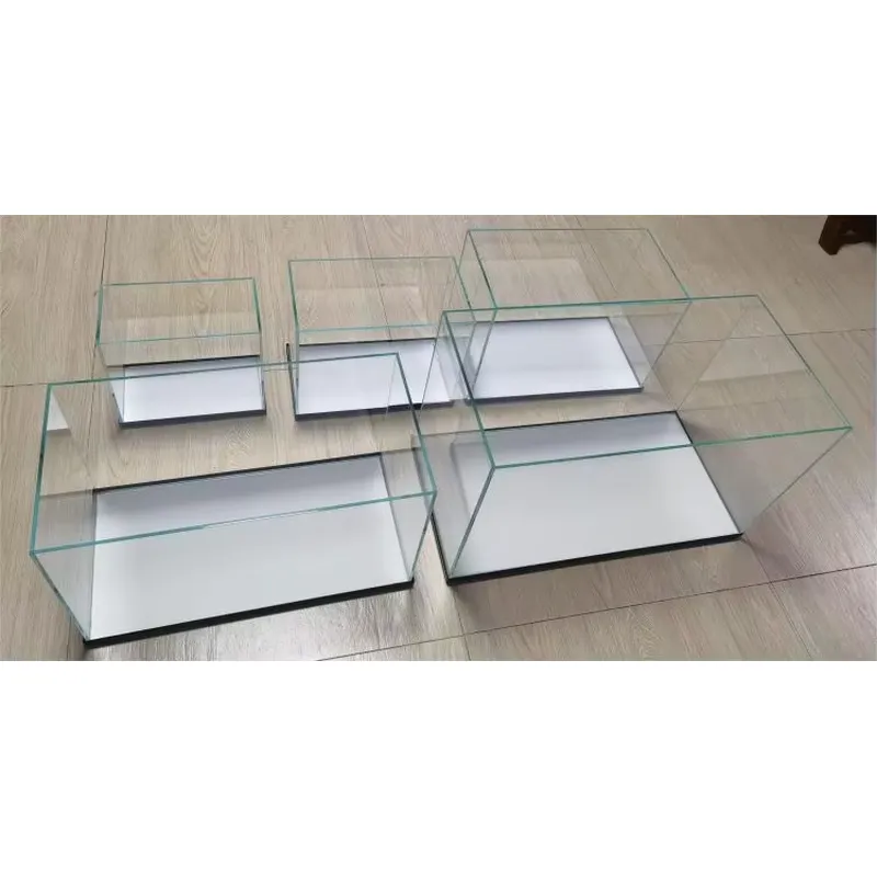 Akuarium Kaca Ultra Jernih unt - Marine Aquarium In Clearwater ulasan dan harga