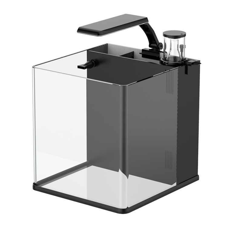 Skynuo Ultra Clear Glass Mini  - Marine Aquarium In Clearwater ulasan dan harga