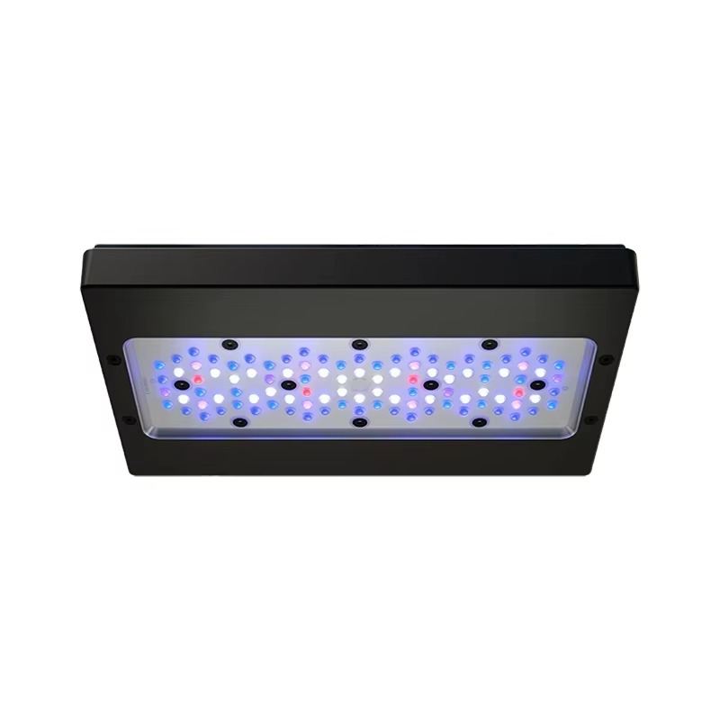 A8 Pro Biru 215W AC 110-240V K - Marine Aquarium App ulasan dan harga