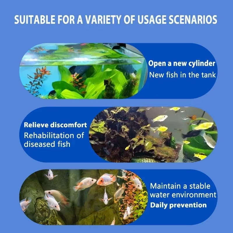 Perawatan Penyakit Ikan SIKEZH - Marine Aquarium Bacteria ulasan dan harga
