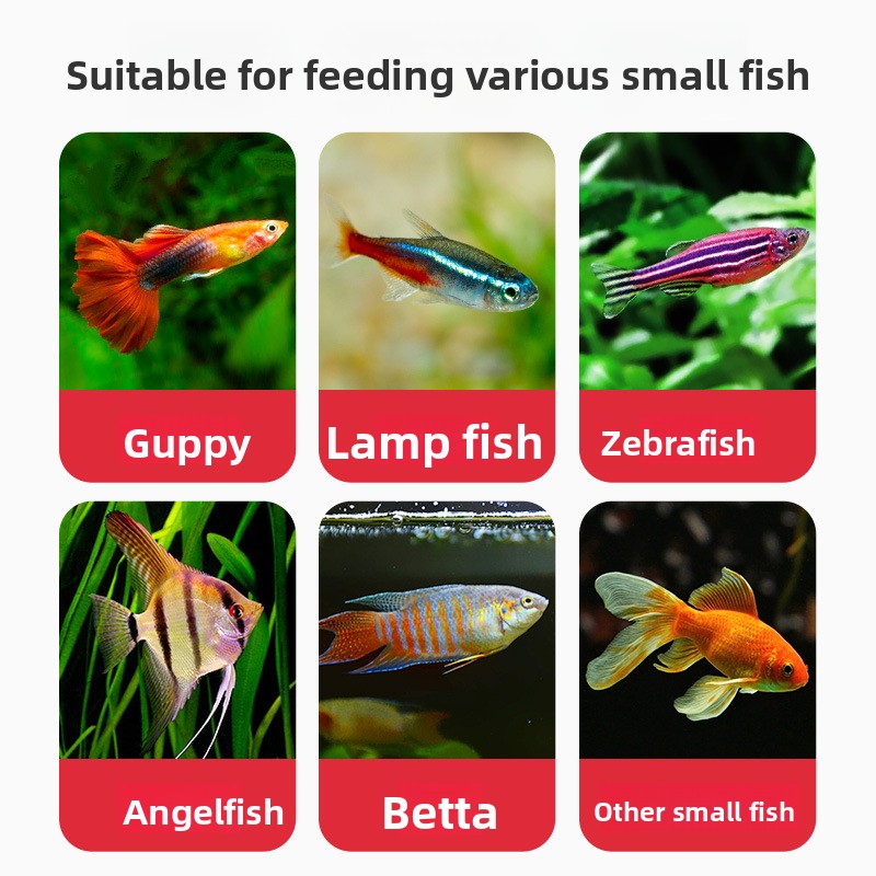 DEERA Tropical Fish Flakes, Pa - Tetra Food Tropical Flakes ulasan dan harga