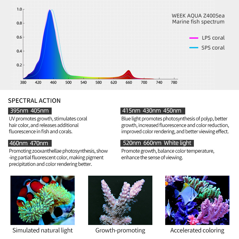 Lampu LED Laut ZXY Hot Sale WE - Marine Aquarium App ulasan dan harga