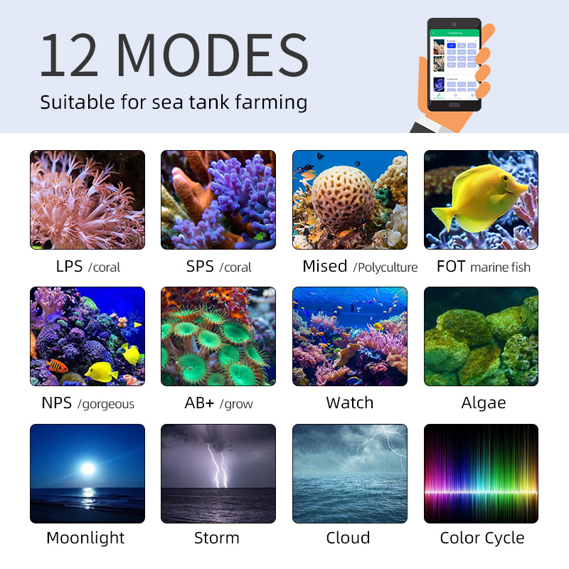 Lampu LED Laut ZXY Hot Sale WE - Marine Aquarium App ulasan dan harga