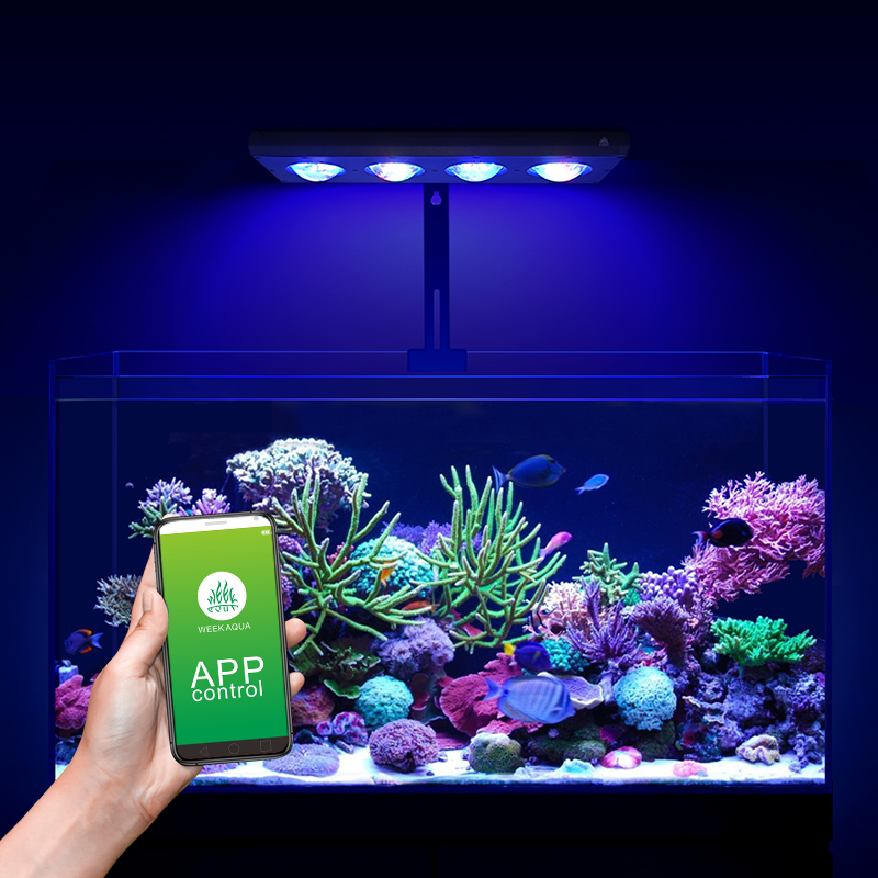 Lampu LED Laut ZXY Hot Sale WE - Marine Aquarium App ulasan dan harga
