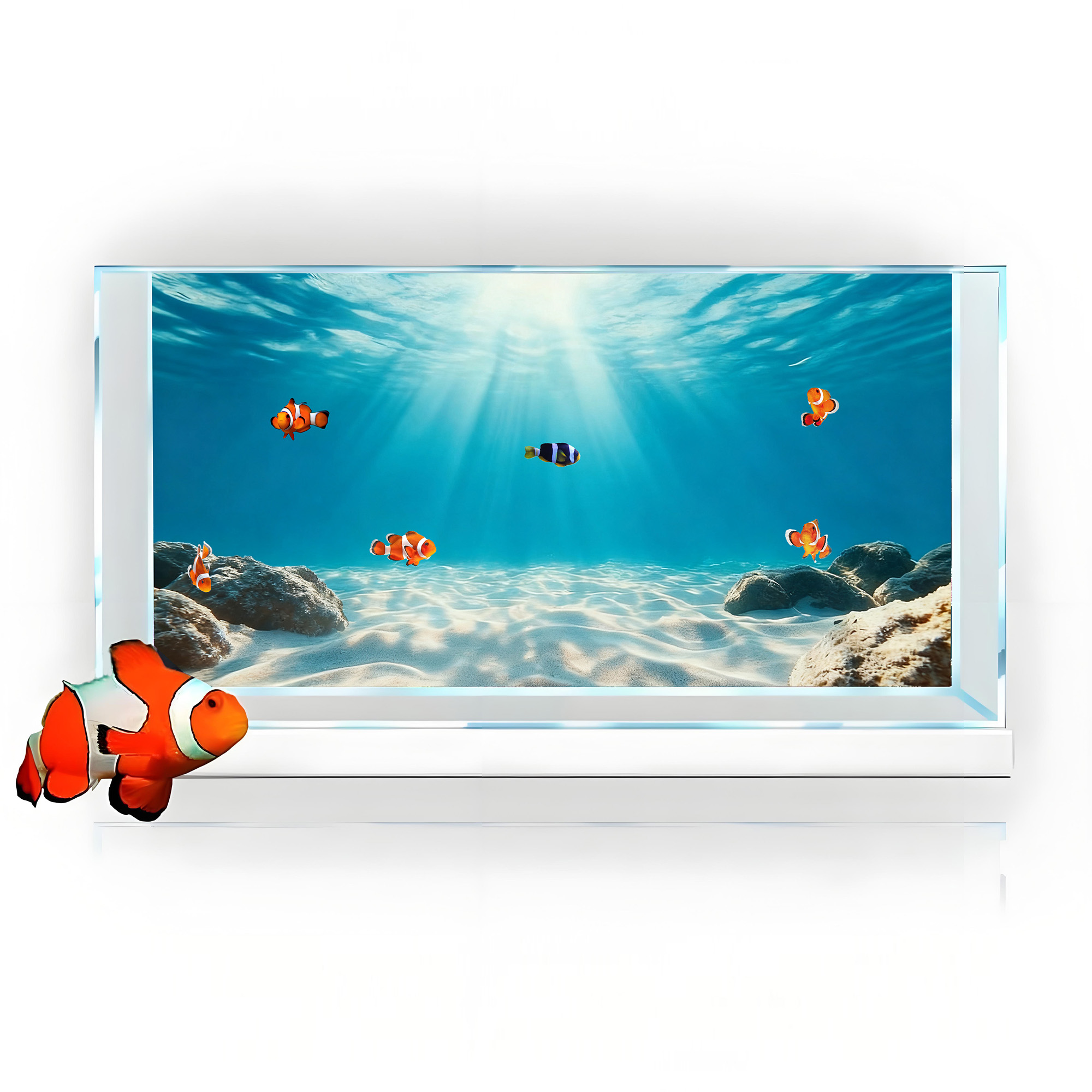 Pasir Biru Laut Jernih, Lukisa - Aquarium Marine Sand ulasan dan harga