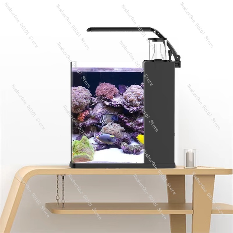 Akuarium Mini Air Asin Kaca Ul - Marine Aquarium In Clearwater ulasan dan harga