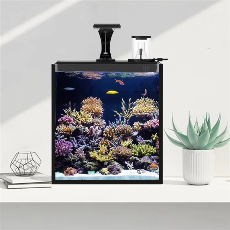 Tangki Ikan Akuarium Laut Air  - Marine Aquarium In Clearwater ulasan dan harga