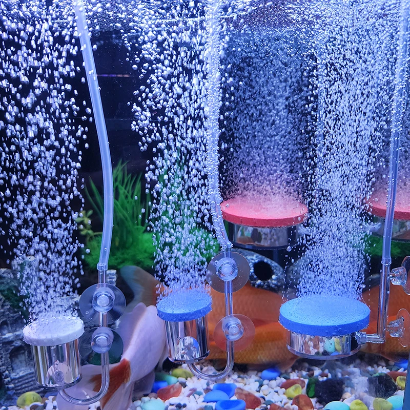 Pompa udara akrilik transparan - Aquarium Marine Sand ulasan dan harga