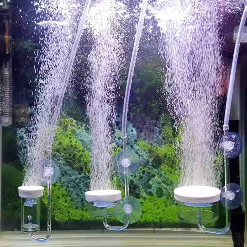 Pompa udara akrilik transparan - Aquarium Marine Sand ulasan dan harga