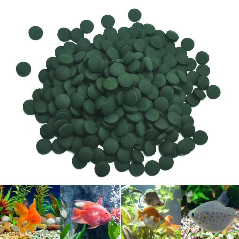 50-300 Buah Tablet Spirulina K - Marine Aquarium Bacteria ulasan dan harga