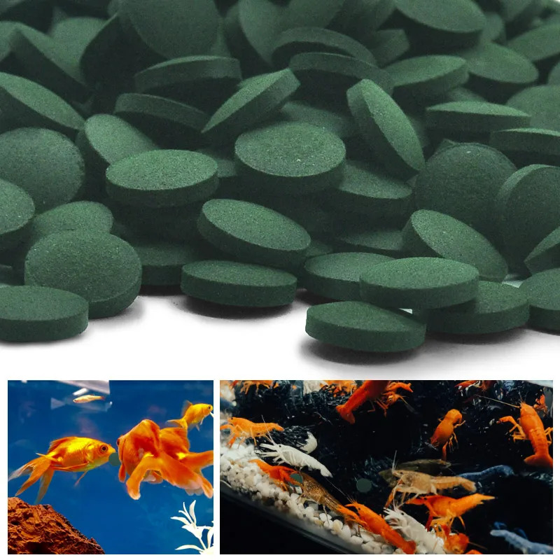 50-300 Buah Tablet Spirulina K - Marine Aquarium Bacteria ulasan dan harga
