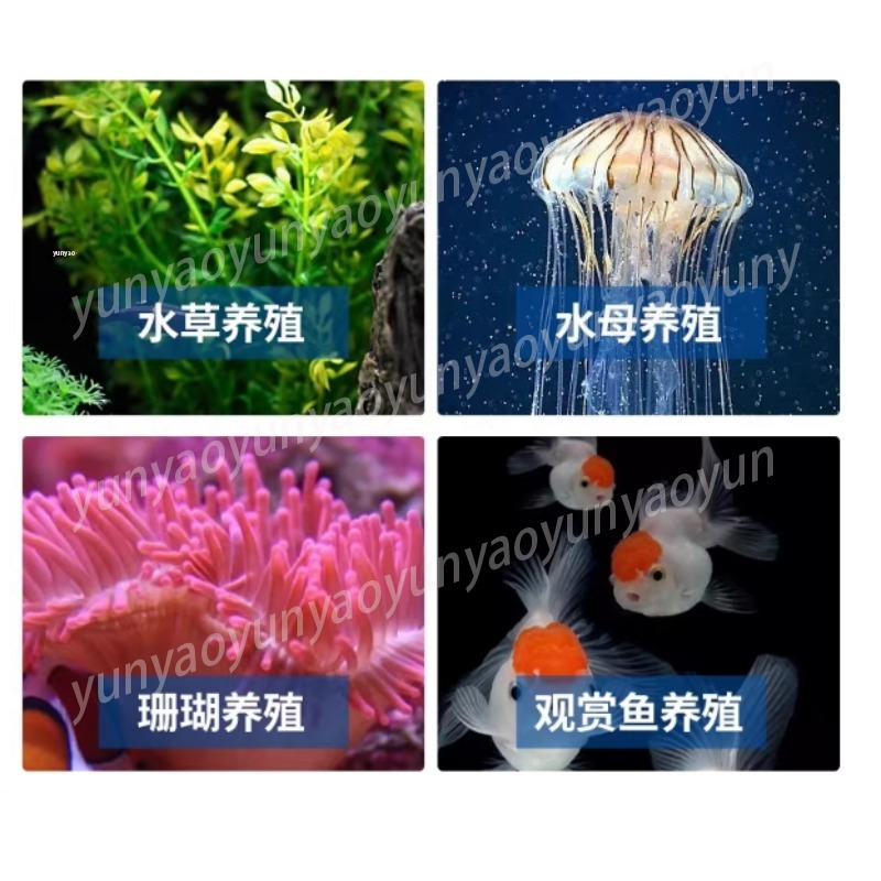 Pendingin Kompresor Akuarium K - Marine Aquarium Chiller ulasan dan harga