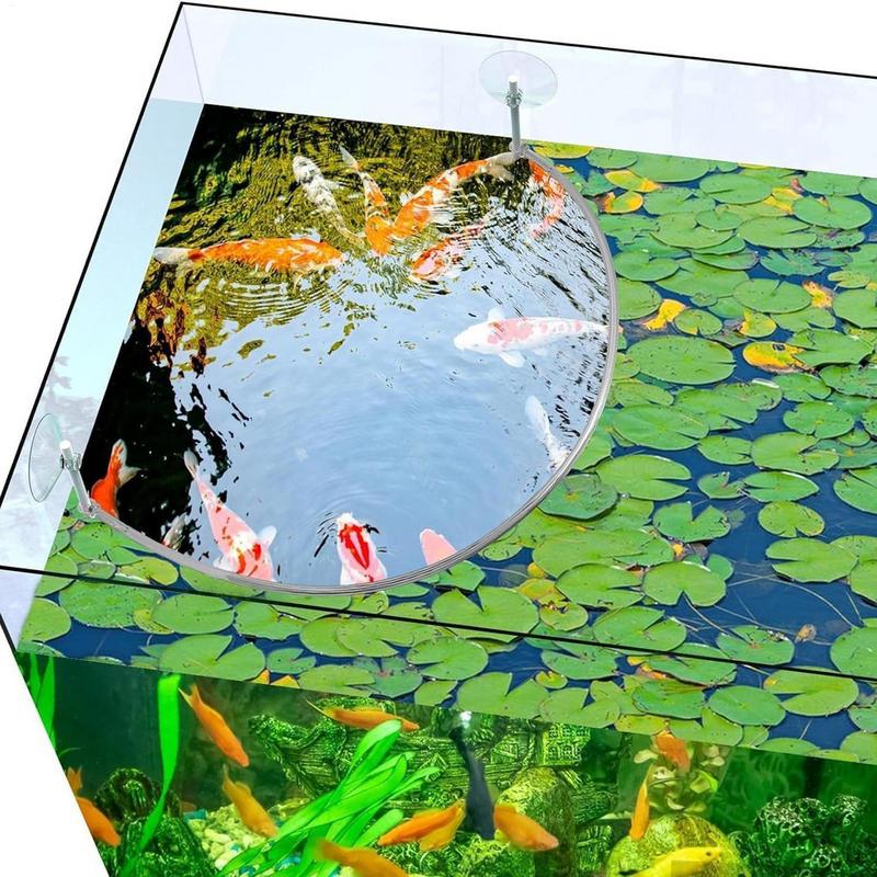 Cincin Makan Ikan Karang Tanam - Aquael Filter Fzn ulasan dan harga