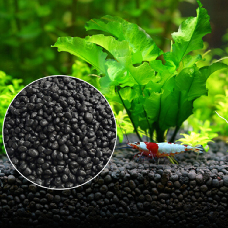 Bibit Tanaman Akuarium Tanah T - Aquarium Marine Sand ulasan dan harga