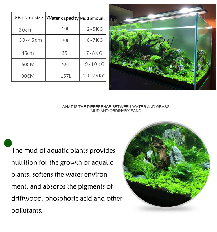 Bibit Tanaman Akuarium Tanah T - Aquarium Marine Sand ulasan dan harga