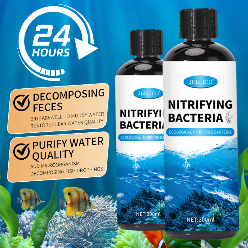 300ml Pemurni Air Akuarium Bak - Marine Aquarium In Clearwater ulasan dan harga