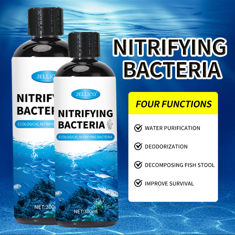 300ml Pemurni Air Akuarium Bak - Marine Aquarium In Clearwater ulasan dan harga