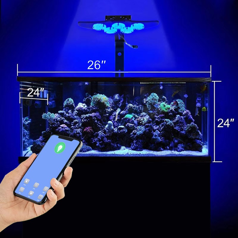 Lampu LED Akuarium Laut Kecera - Marine Aquarium App ulasan dan harga