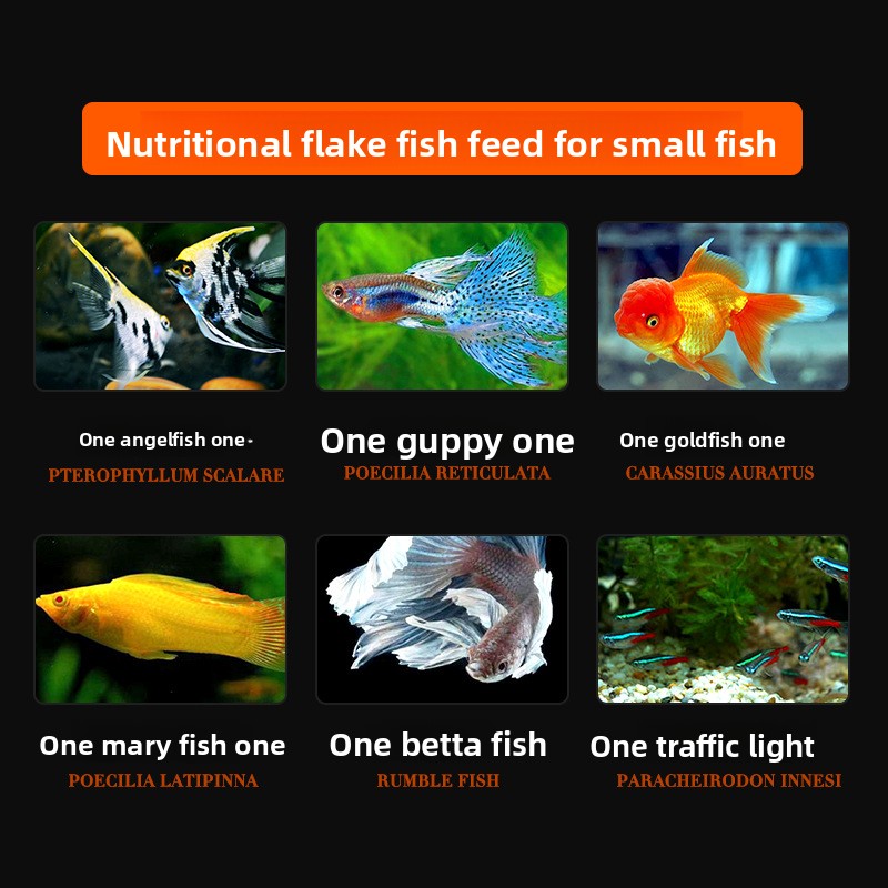 Makanan Ikan DaJiaWa Spirulina - Tetra Food Tropical Flakes ulasan dan harga
