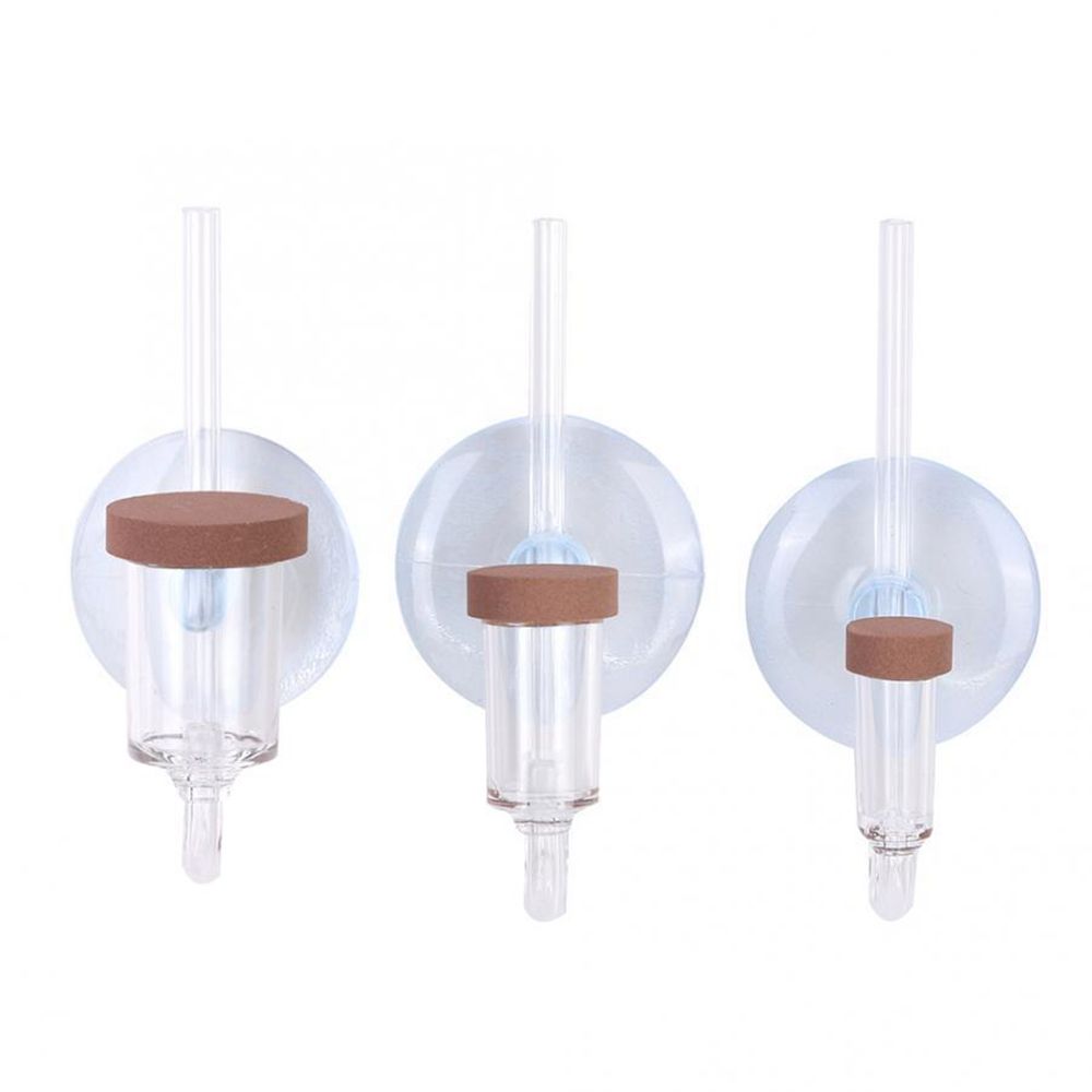 Akuarium Mini Akrilik Tanaman  - Marine Aquarium Mini ulasan dan harga
