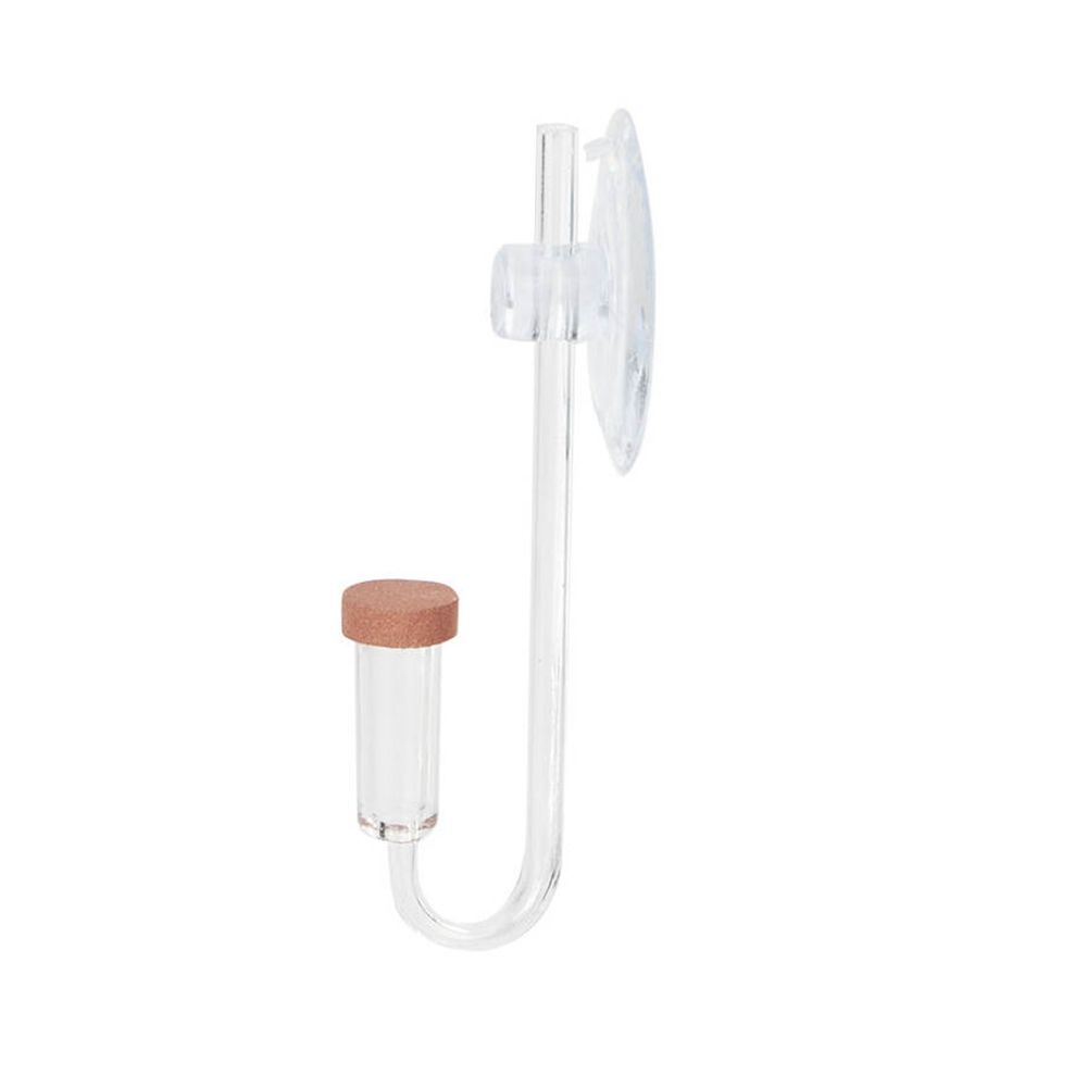 Akuarium Mini Akrilik Tanaman  - Marine Aquarium Mini ulasan dan harga
