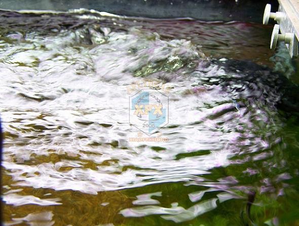 Pompa pembuat gelombang terbar - Aquarium Marine Color ulasan dan harga