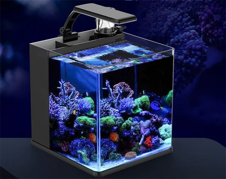 Akuarium Mini Air Asin Kaca Ul - Marine Aquarium In Clearwater ulasan dan harga