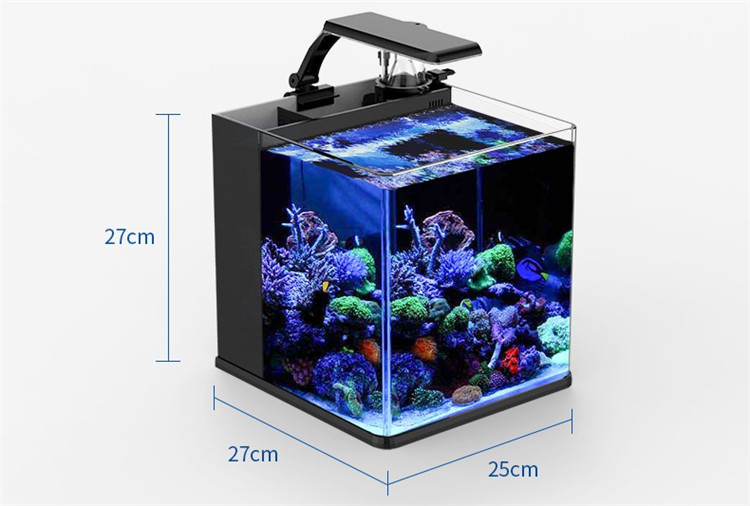 Akuarium Mini Air Asin Kaca Ul - Marine Aquarium In Clearwater ulasan dan harga