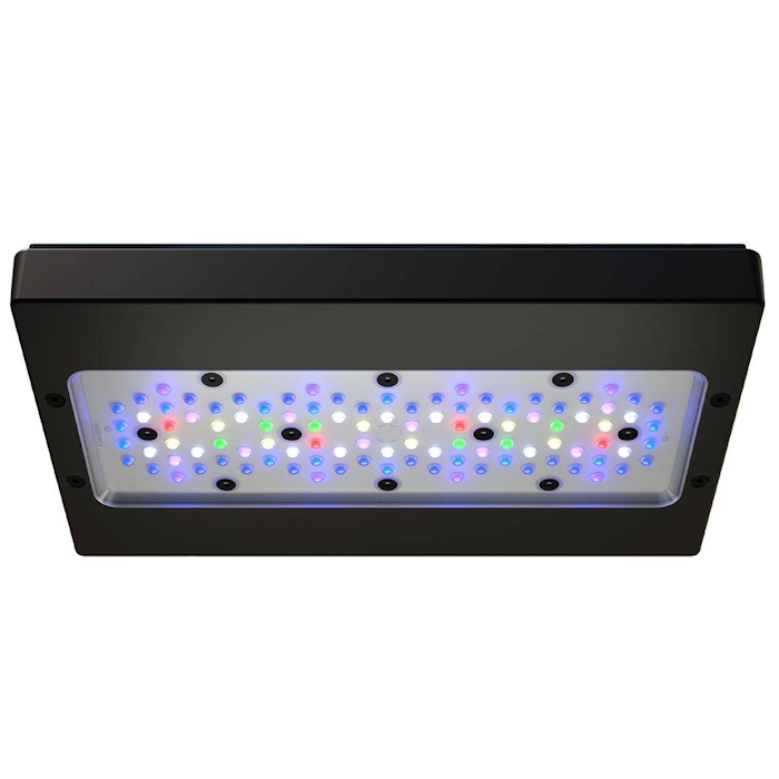 Lampu LED Akuarium Terumbu Kar - Marine Aquarium App ulasan dan harga
