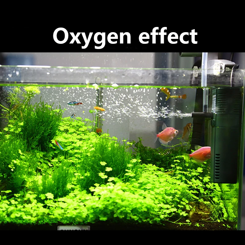 SUNSUN mini nano 111B 311B 611 - Marine Aquarium Chiller ulasan dan harga